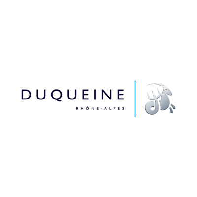 Cabinet Recrutement Lyon Duqueine Rhone Alpes